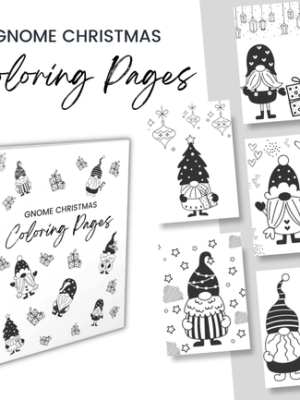 A Gnome's Coloring Journey